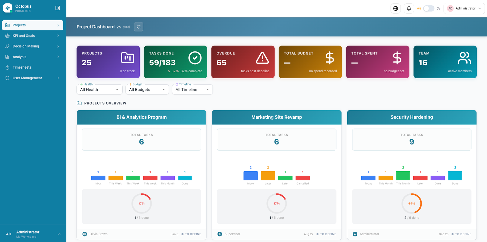 Octopus project dashboard with tasks budget and delivery KPIs