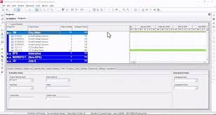 Classic Primavera P6 project scheduling interface