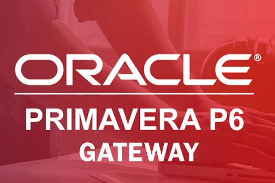 Oracle Primavera P6 Gateway reference